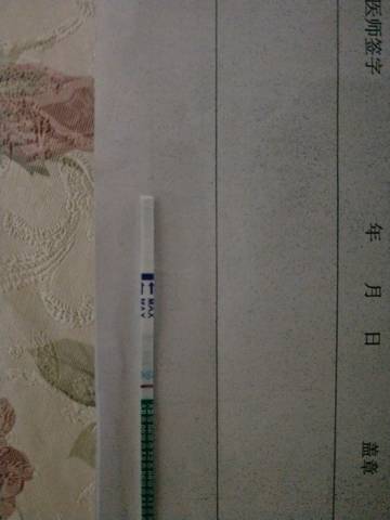 journal_insert_pic_881583782