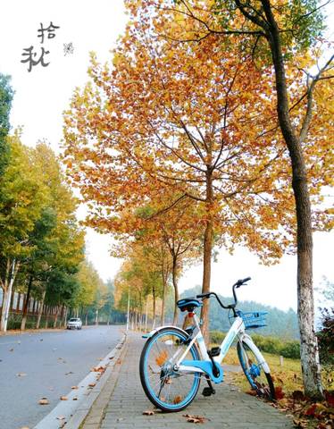journal_insert_pic_882936541