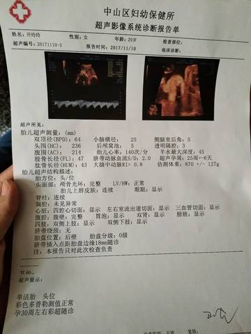 journal_insert_pic_883165732