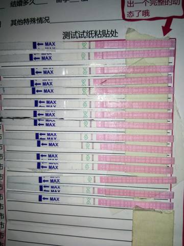 journal_insert_pic_883707373