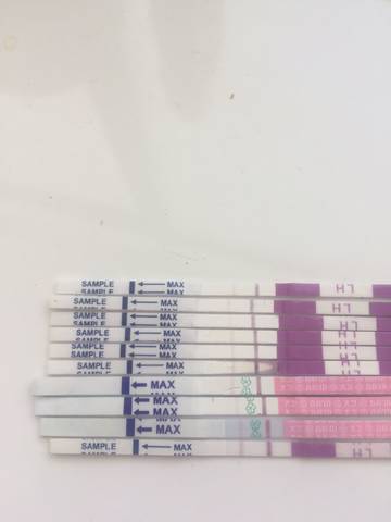 journal_insert_pic_884507717