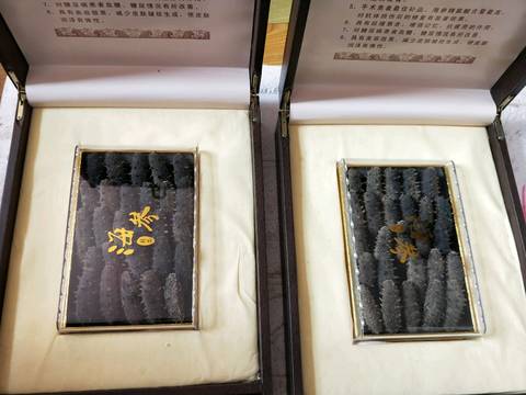 journal_insert_pic_884435451