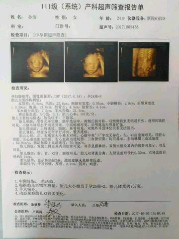 journal_insert_pic_884405883