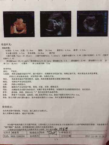 journal_insert_pic_885259017