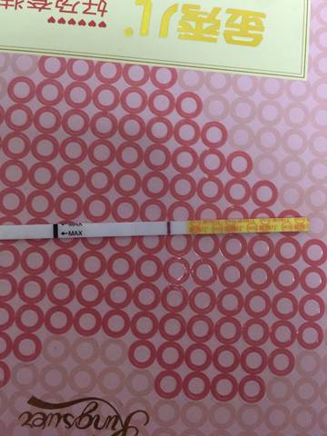 journal_insert_pic_885030348