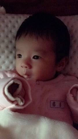journal_insert_pic_885528106