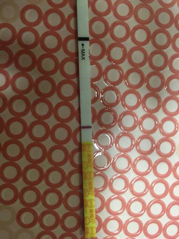 journal_insert_pic_885030356