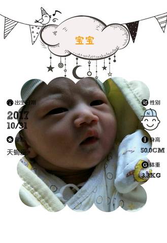 journal_insert_pic_888225845