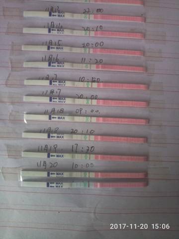 journal_insert_pic_888300664