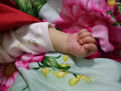 journal_insert_pic_888606799
