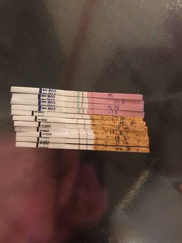 journal_insert_pic_888118412