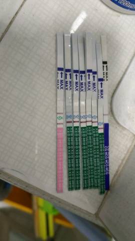 journal_insert_pic_890226621
