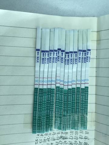 journal_insert_pic_890137130