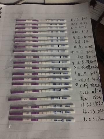 journal_insert_pic_891256112