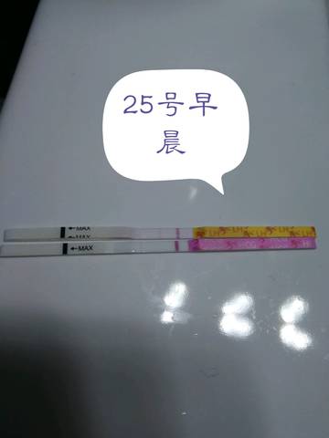 journal_insert_pic_891605514
