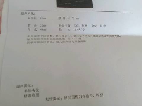 journal_insert_pic_892049800