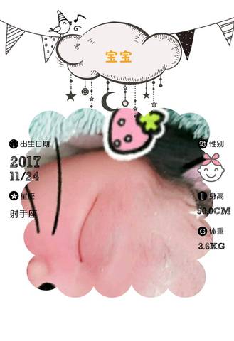 journal_insert_pic_892636061