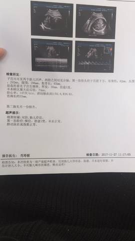 journal_insert_pic_892957355