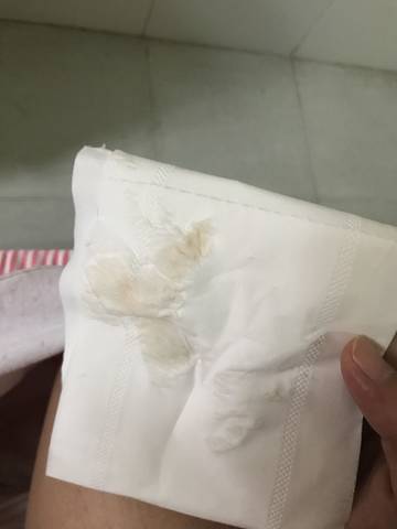 journal_insert_pic_893308336