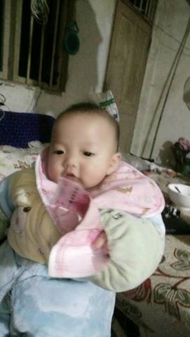 journal_insert_pic_893415396