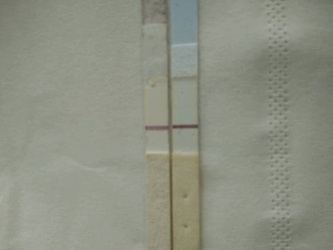 journal_insert_pic_894960580