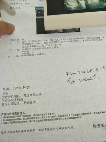 journal_insert_pic_896383737
