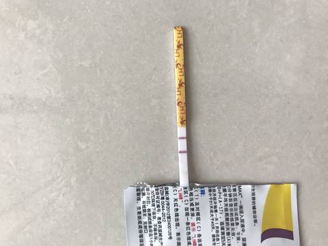 journal_insert_pic_897044334