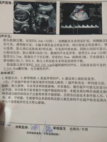 journal_insert_pic_896970197