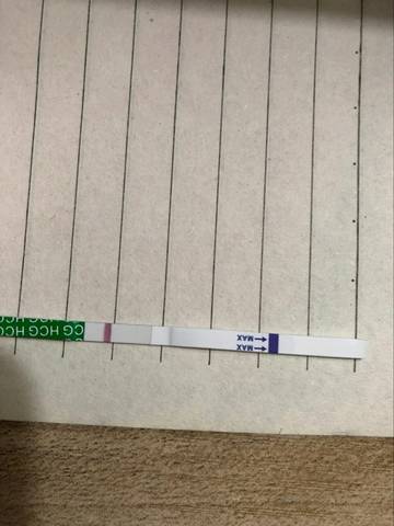journal_insert_pic_897645136