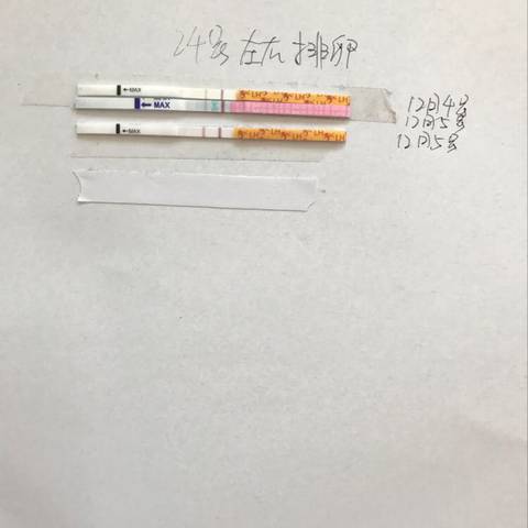 journal_insert_pic_898425982