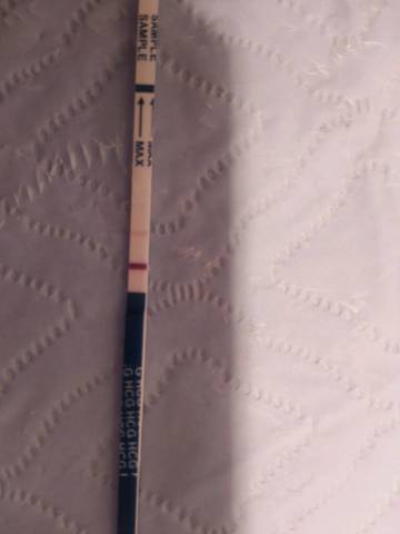 journal_insert_pic_898382757