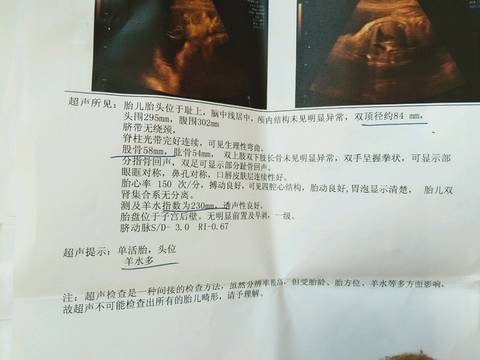journal_insert_pic_898624542