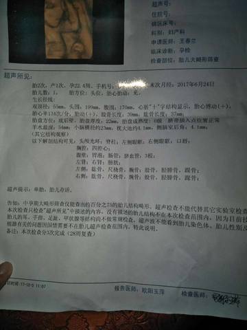 journal_insert_pic_899646847