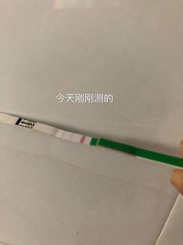 journal_insert_pic_899238685