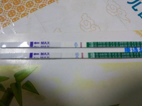 journal_insert_pic_899912071