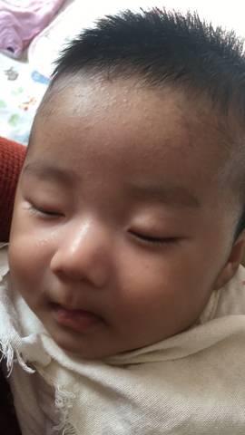 journal_insert_pic_901117416