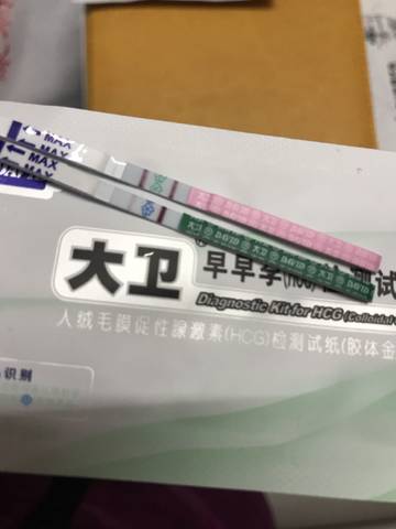 journal_insert_pic_901656279