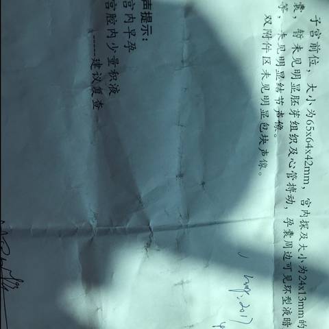 journal_insert_pic_901765511