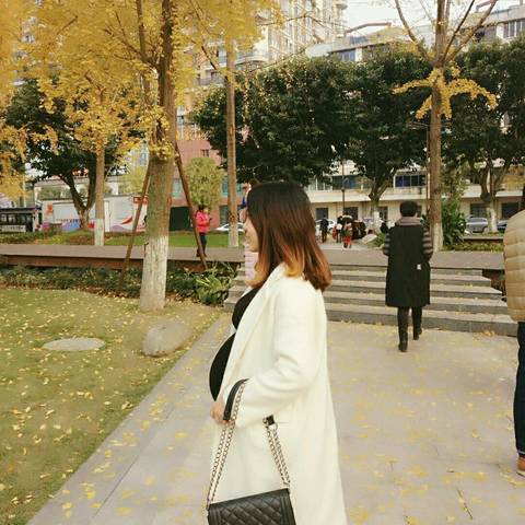 journal_insert_pic_902282939
