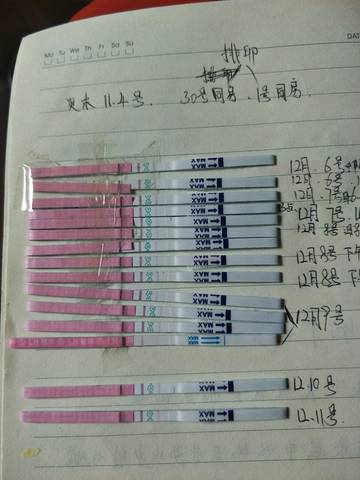 journal_insert_pic_902507701