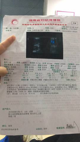 journal_insert_pic_904173766