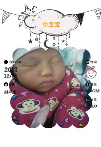 journal_insert_pic_904549557