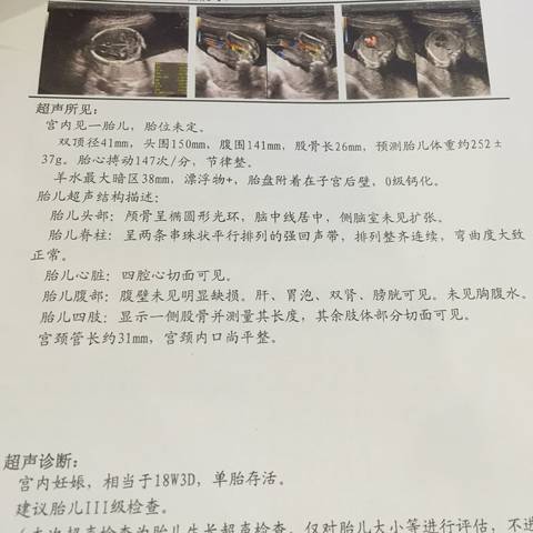 journal_insert_pic_904356118