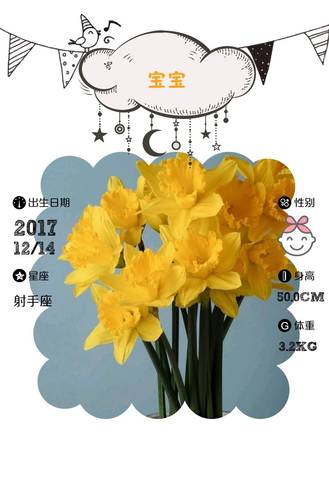 journal_insert_pic_904545022