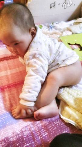 journal_insert_pic_904521366