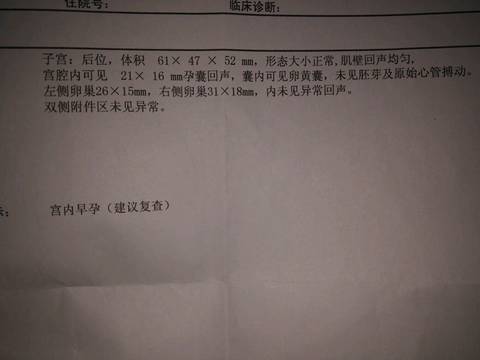 journal_insert_pic_905112887