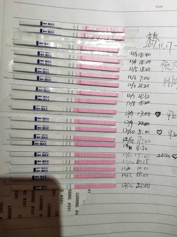 journal_insert_pic_905350985