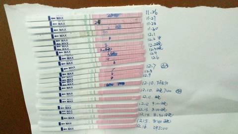journal_insert_pic_905974945