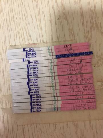 journal_insert_pic_906611488
