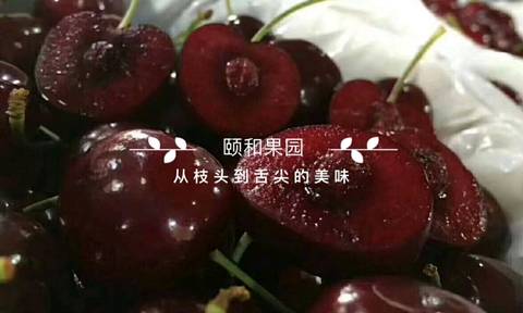 journal_insert_pic_907755108